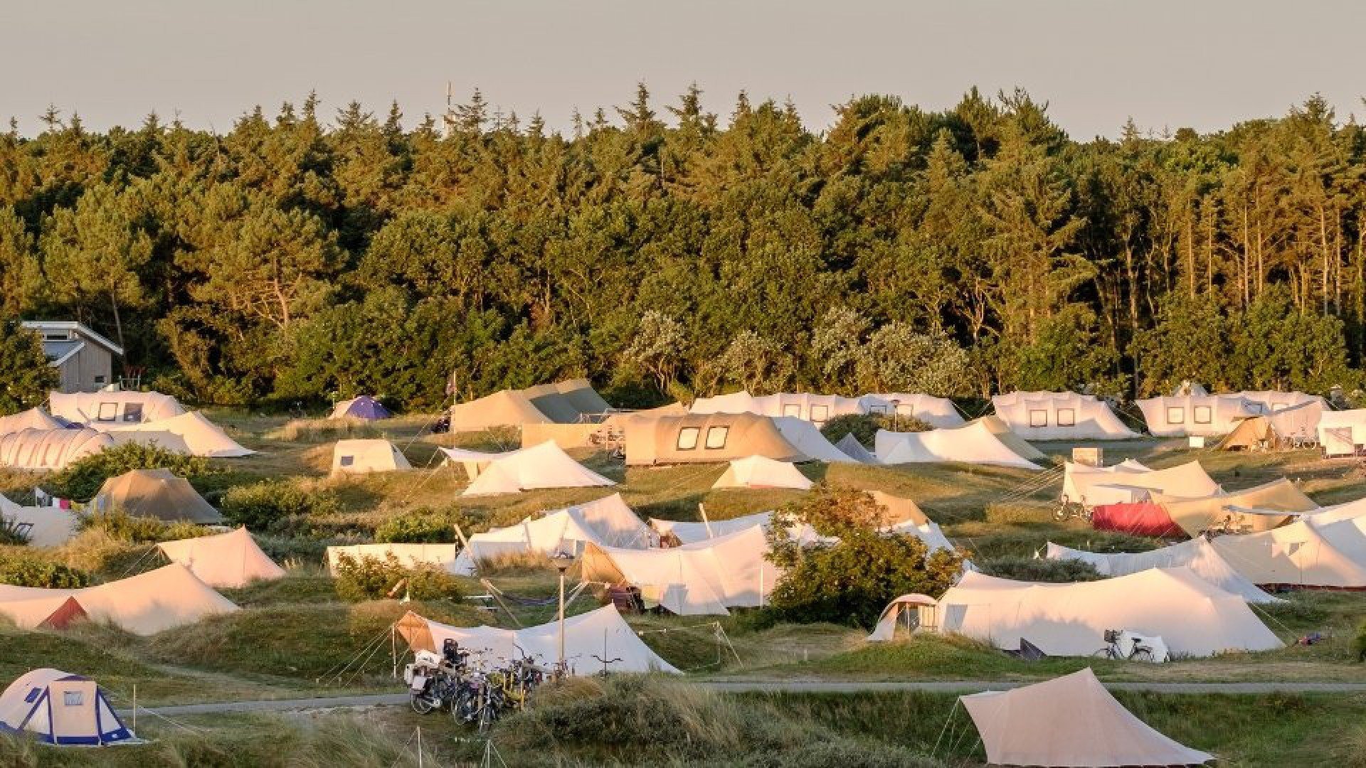 Stortemelk tommy software